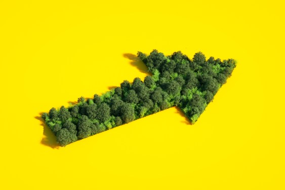 Congruent Raises Fresh $250 Million Early-Stage Climate Tech Fund