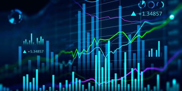 Ethereum Long-Term Holders Saw Increase in 2024 While Bitcoin Holder Numbers Declined