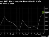Bullish oil bets hit four-month high as investors assess potential 2025 market risks